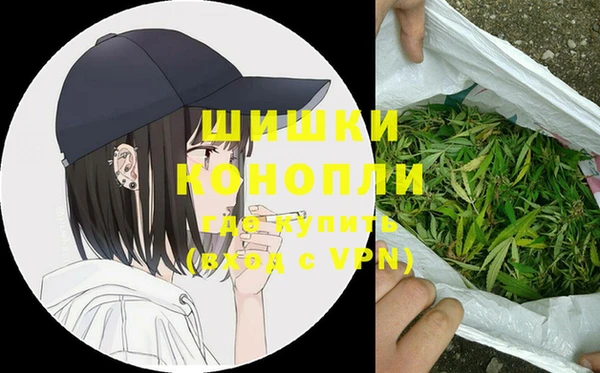 МДПВ Алексеевка